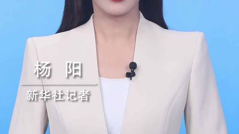 ERP库存管理系统：企业高效运营的守护者**